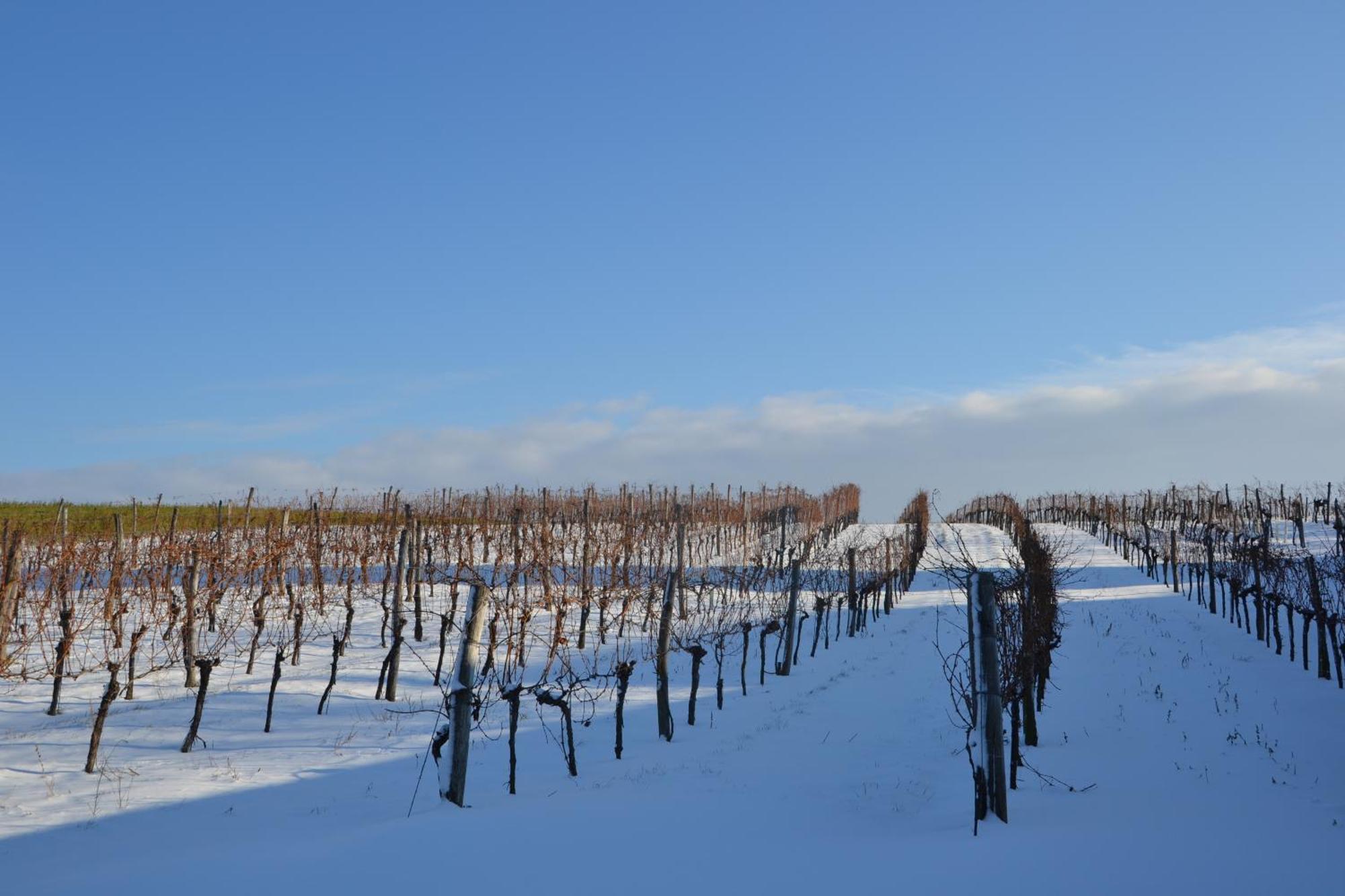 Wein + Bett Wiedeck Stetten Εξωτερικό φωτογραφία